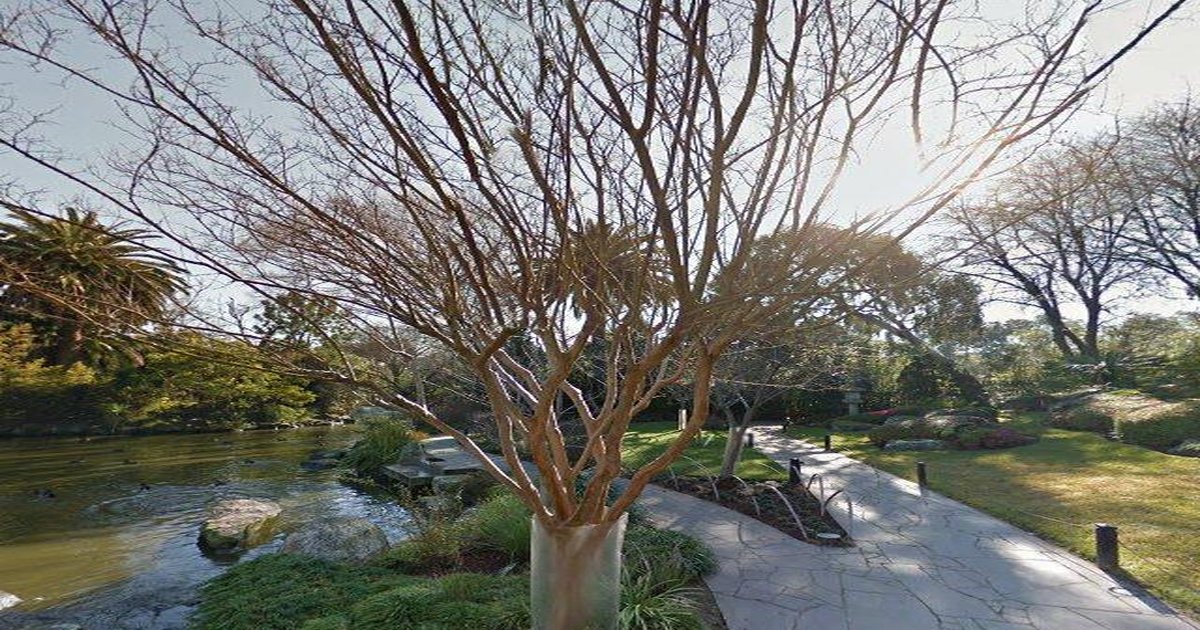 Parkville Rental Market — 2026 Guide