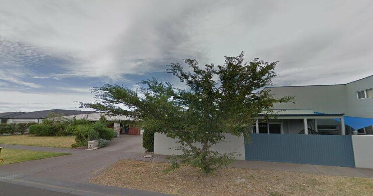 Best Dog Friendly Guide in Point Cook Melbourne — 2026 Guide