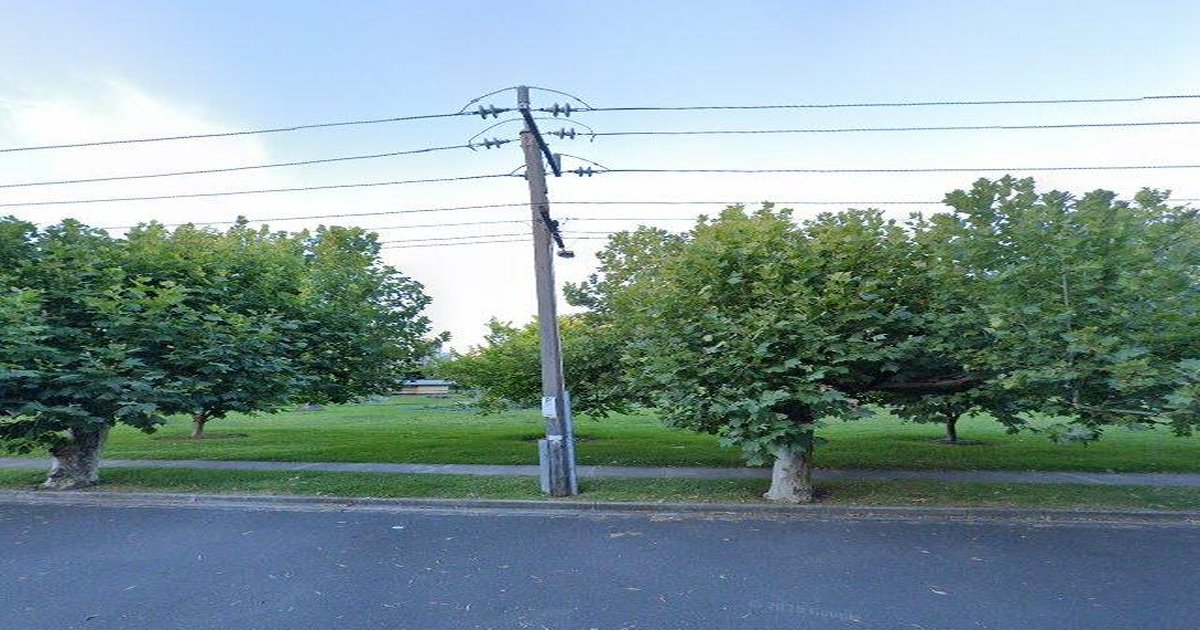 Best Breakfast in Port Melbourne — 2026 Guide