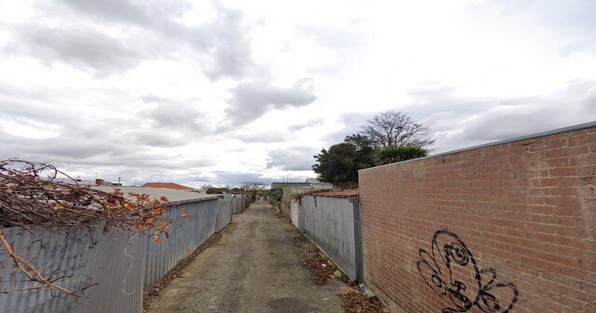 Dog-Friendly Preston — Parks, Cafes and Walks