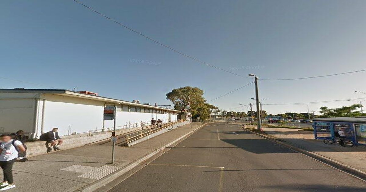 Pet-Friendly Reservoir (2026) — Dog Parks, Cafes & Vets