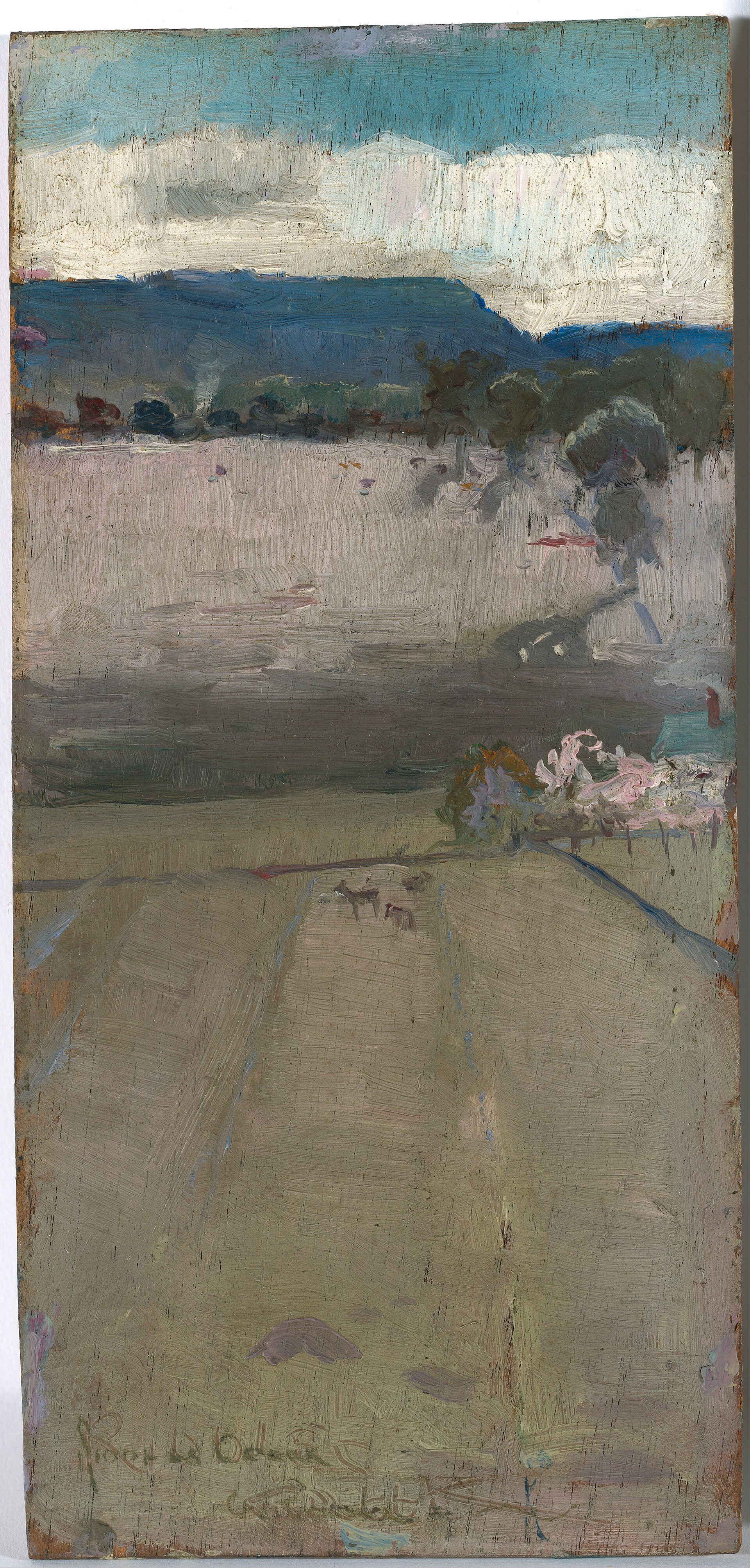 Riddells Creek Median Prices 2026: Houses, Units & What the Market Actually Shows
