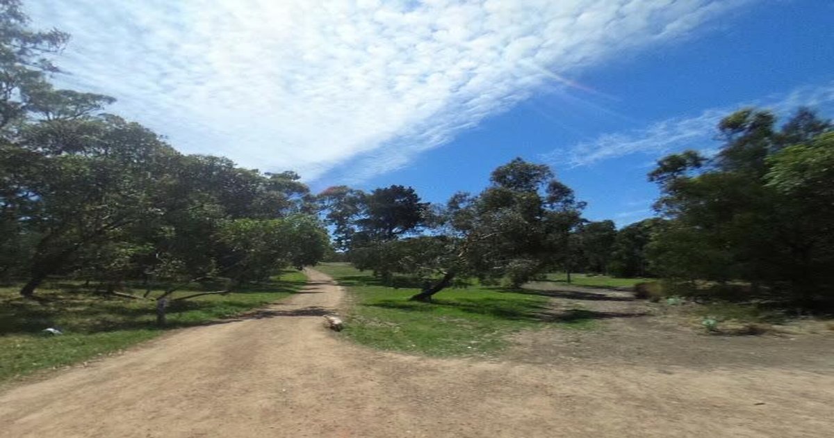 Best Thai Food in Rosanna — 2026 Guide