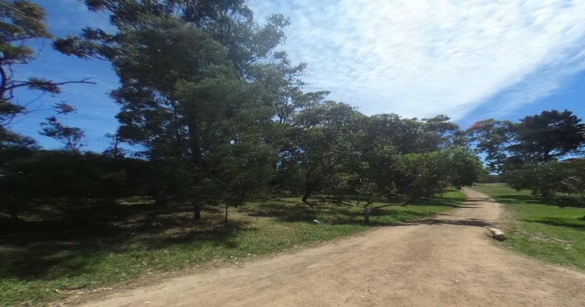 Rosanna Council Services — Everything You Need