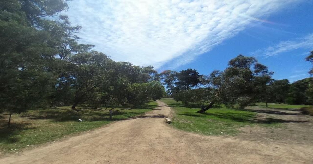 Best Dog Friendly Guide in Rosanna Melbourne — 2026 Guide