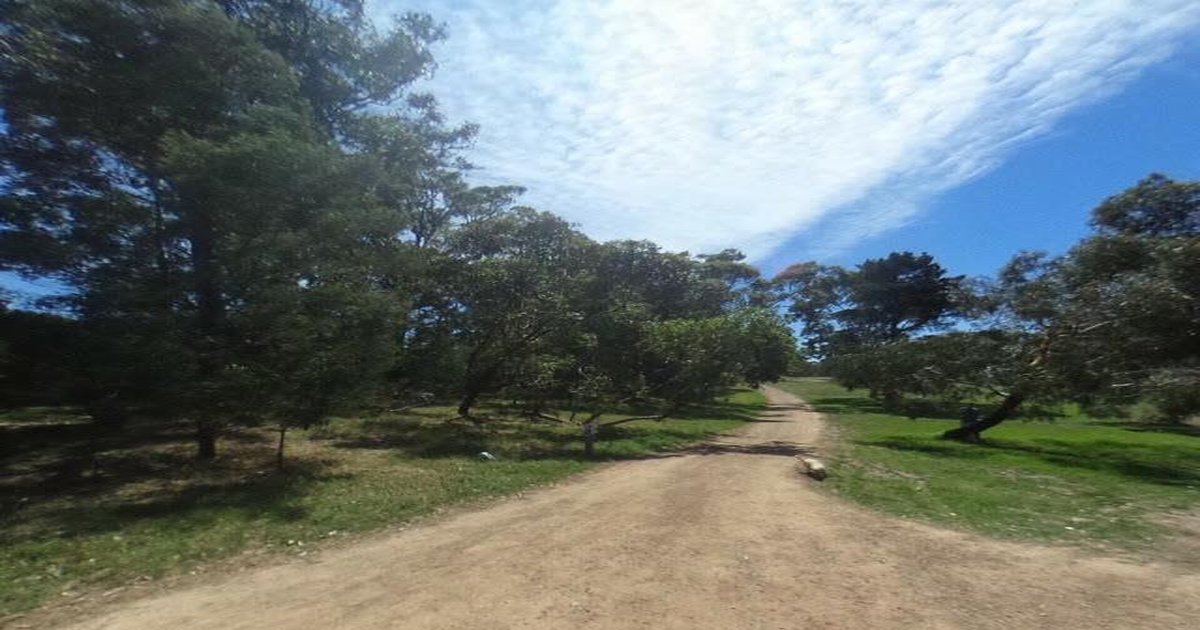 Libraries in Rosanna — Beyond Books