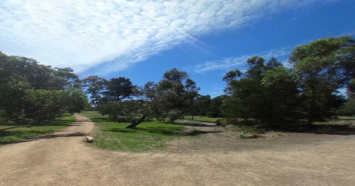 Pet-Friendly Rosanna (2026) — Dog Parks, Cafes & Vets