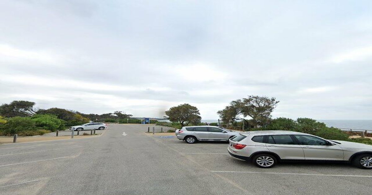 Best Dog Friendly Guide in Sandringham Melbourne — 2026 Guide