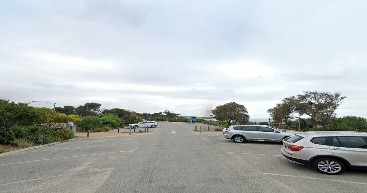 Is Sandringham Good for Families? Schools, Parks & Safety (2026)