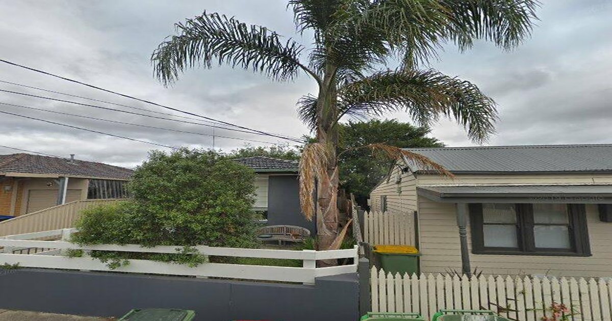 Is Seddon Good for Young Professionals? (2026)