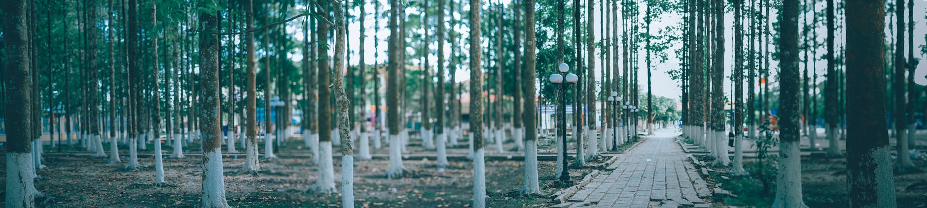 Best Parks in Tecoma Melbourne — 2026 Guide