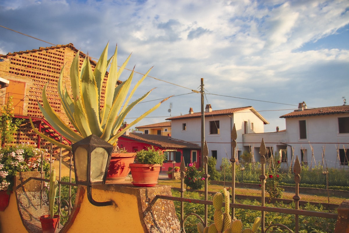 Gyms & Fitness in Tecoma — 2026 Guide