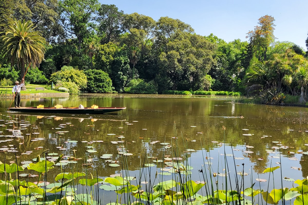 Running & Cycling in Tecoma
