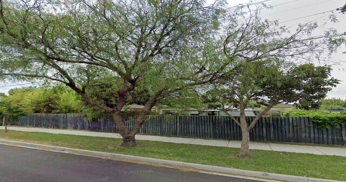 Parks & Green Spaces in South Kingsville