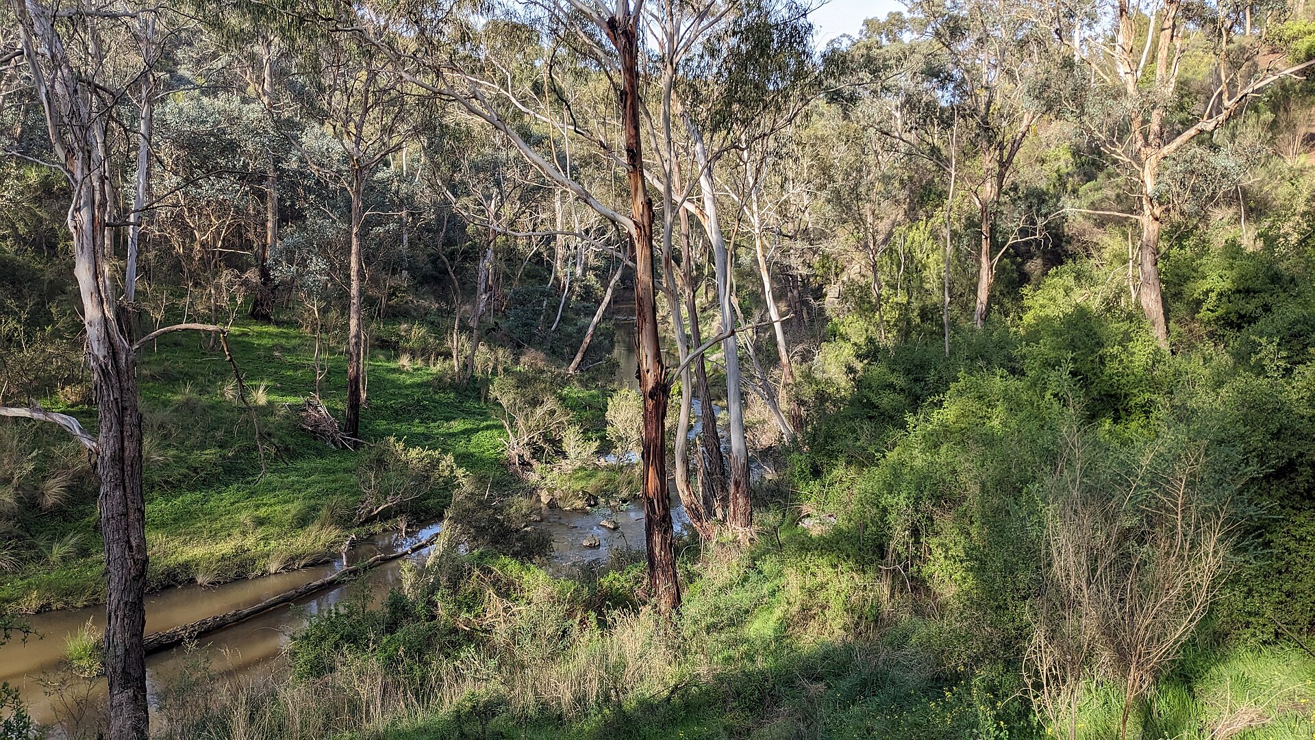 Renovating in South Morang 2026: Where to Find Value-Add Properties