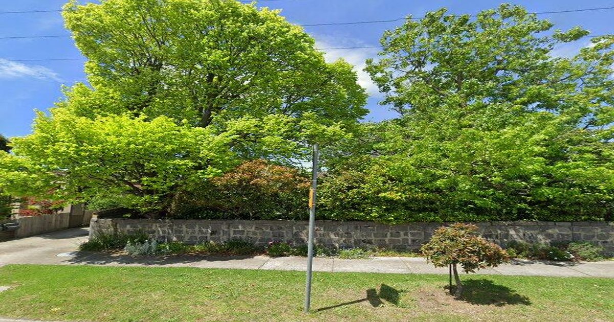 Is South Morang Good for Young Professionals? (2026)