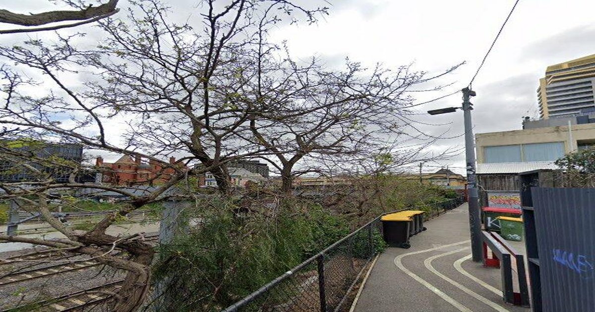 Best Pizza in South Yarra — 2026 Guide