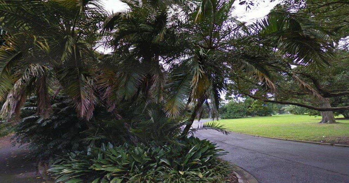 Best Playgrounds in South Yarra — Parent's Guide