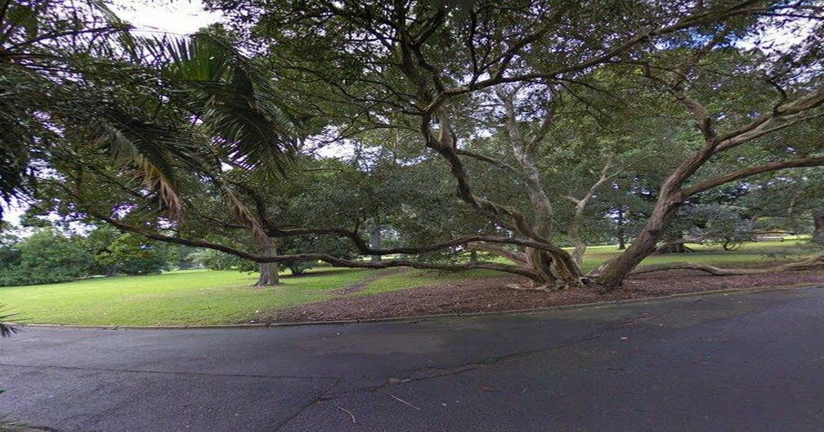 Running & Cycling in South Yarra