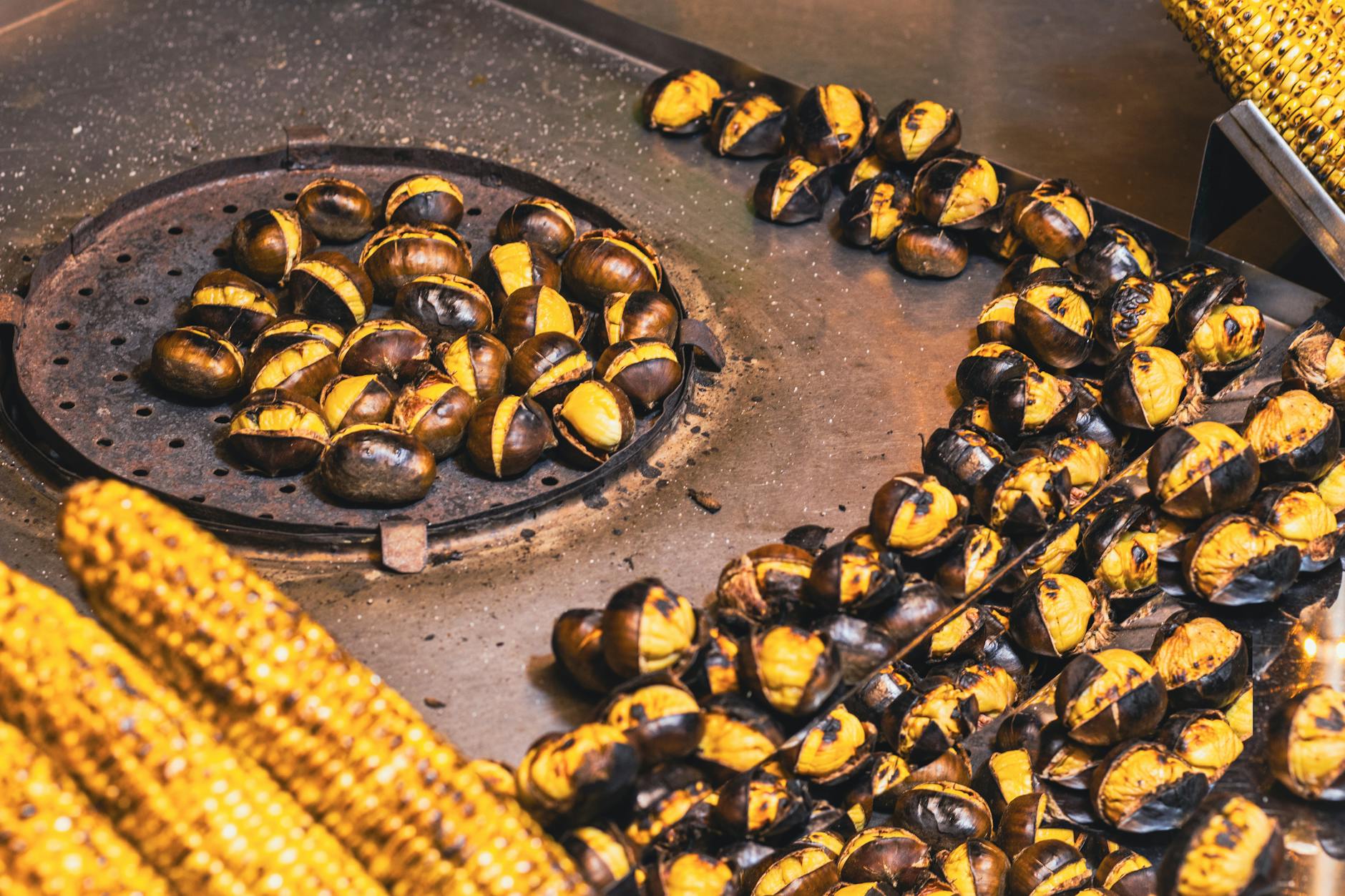 South Yarra: The Suburb Roast — Every Hot Take, No Apologies