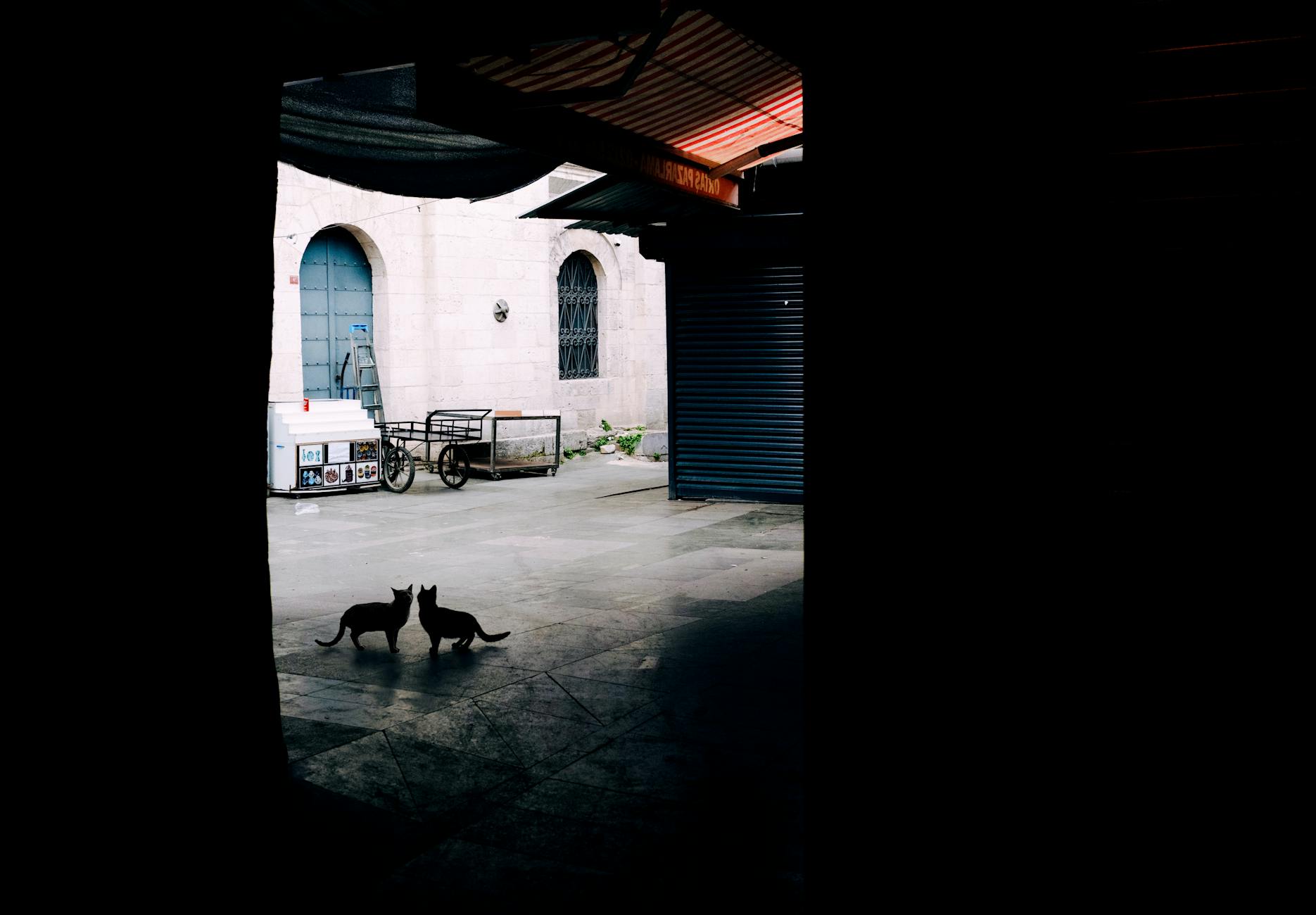 Hidden Gems in St Kilda East — What Most People Miss