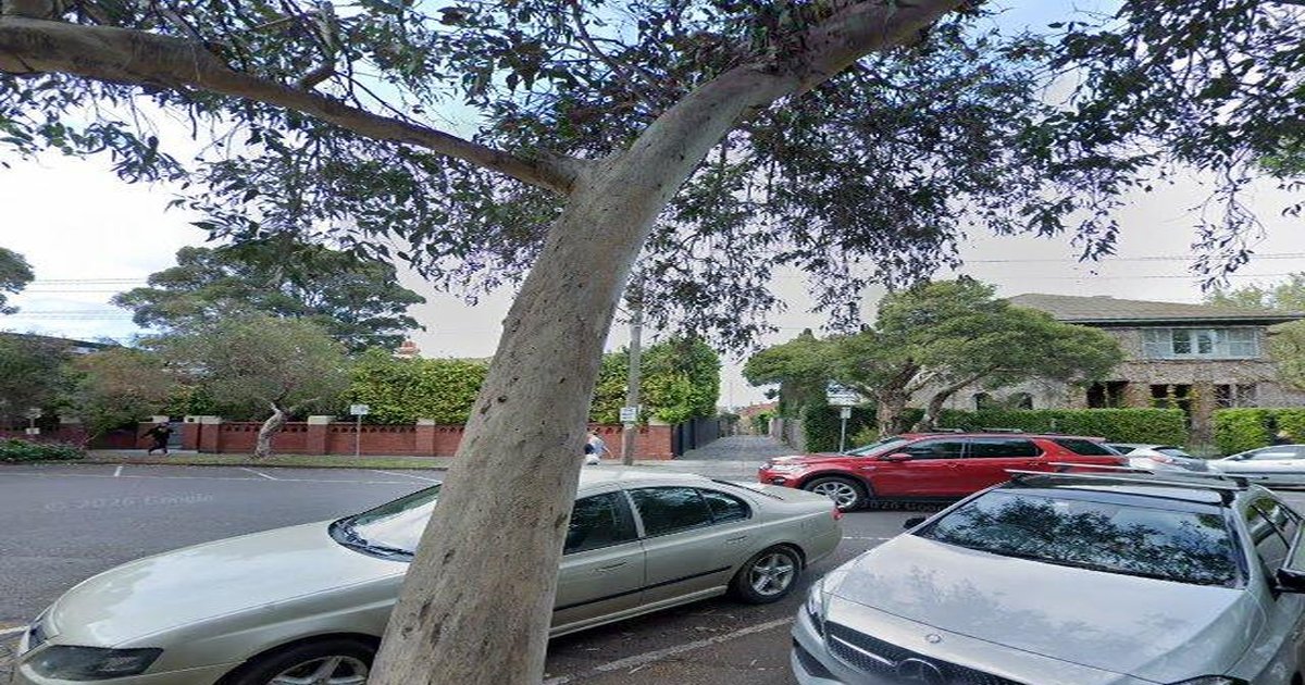 St Kilda Community Guide — Groups, Events, Culture