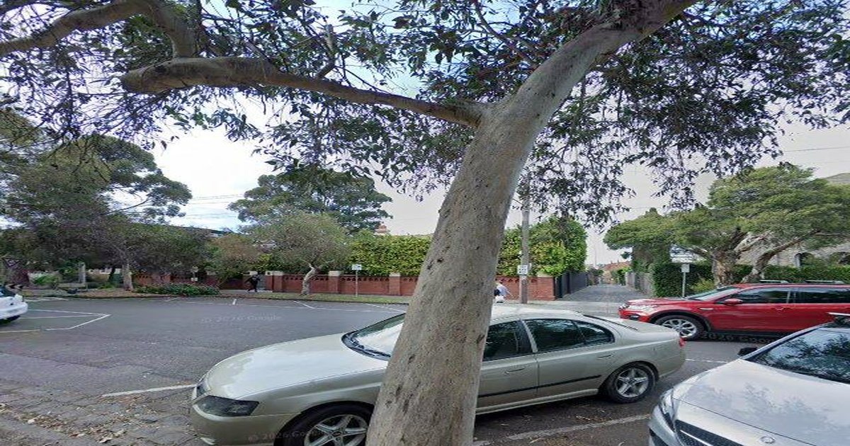 Schools in St Kilda (2026) — 8 Schools Guide