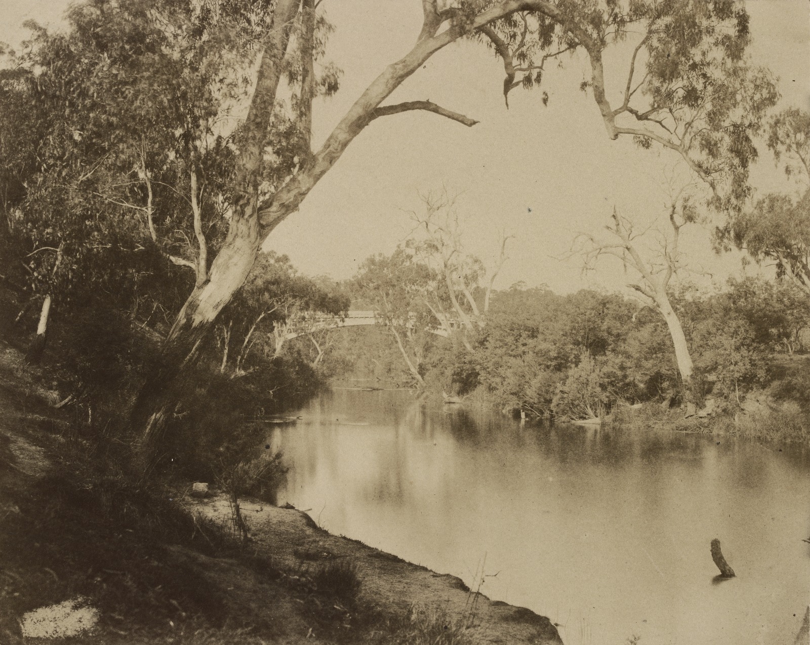 Studley Park Investment Returns 2026: The Yield Data You Need
