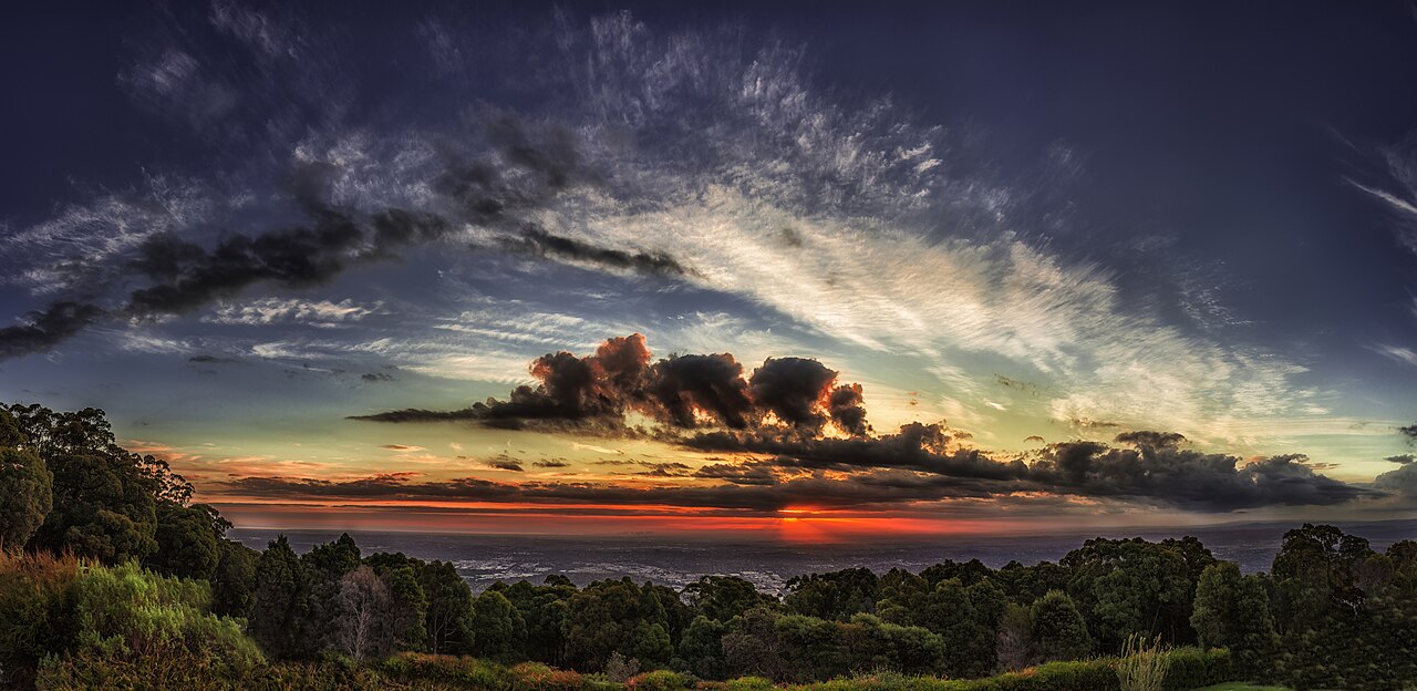 Your Dandenong Activity Guide -- 14 Real Places to Visit (2026)