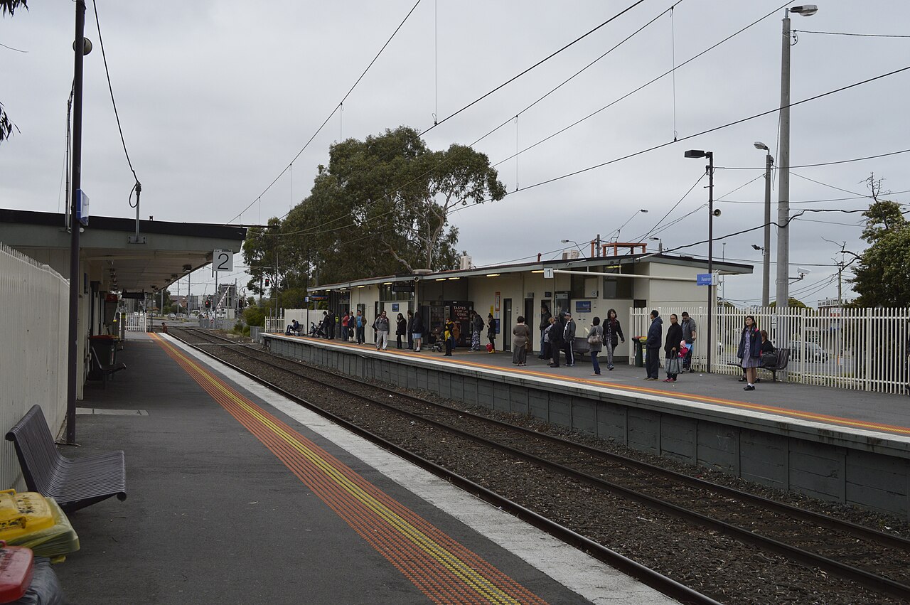 Reservoir Activities Guide: 15 Places Worth Your Time (2026)