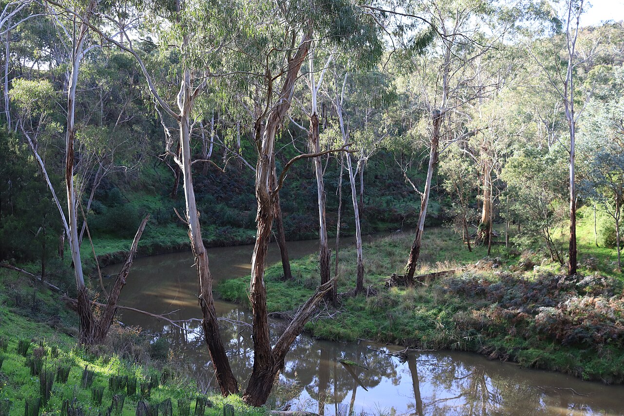 13 Best Things to Do in South Morang (2026)