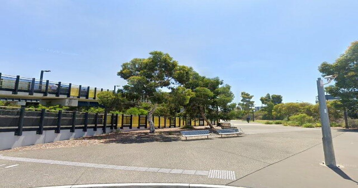 Sunshine Council Services — Everything You Need