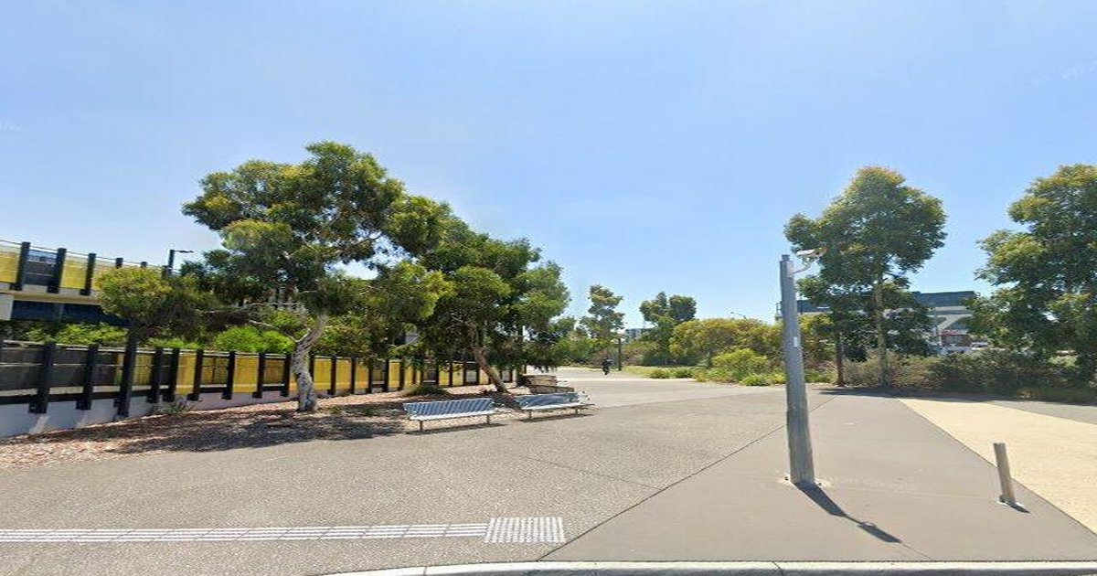 Honest Guide to Sunshine (2026) — The Real Pros and Cons