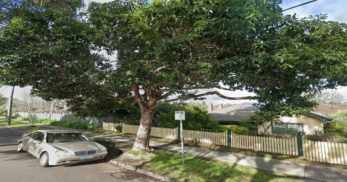 Best Pizza in Surrey Hills — 2026 Guide