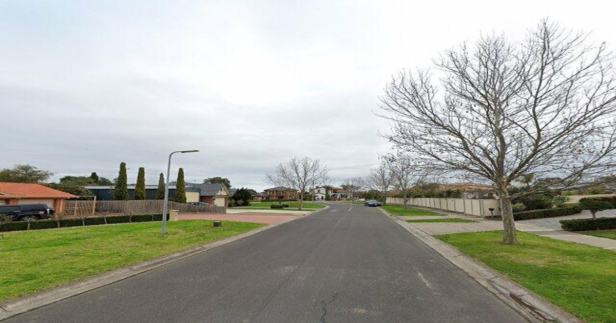 Sydenham Council Services — Everything You Need