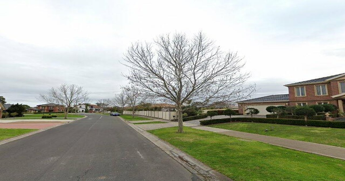 Best Dog Friendly Guide in Sydenham Melbourne — 2026 Guide