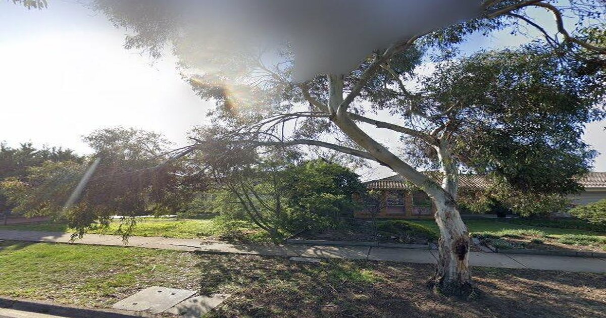 Best Cafes in Taylors Lakes (2026) — 15 Spots Ranked