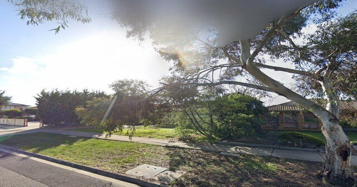 Living in Taylors Lakes: Complete Neighbourhood Guide (2026)