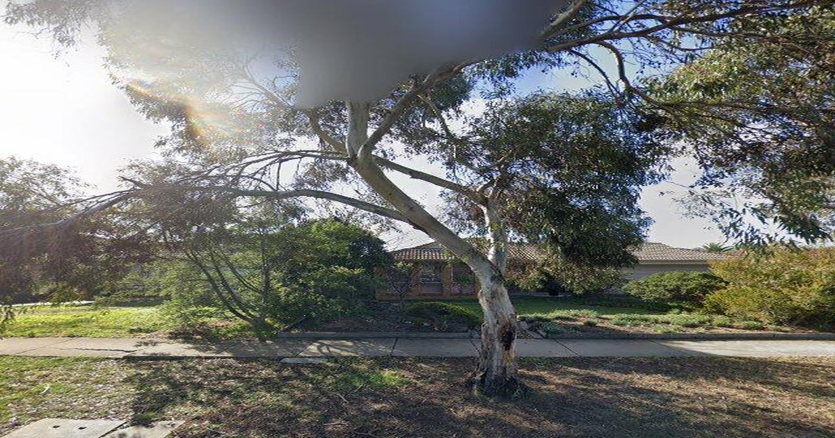 Taylors Lakes Rental Market — 2026 Guide