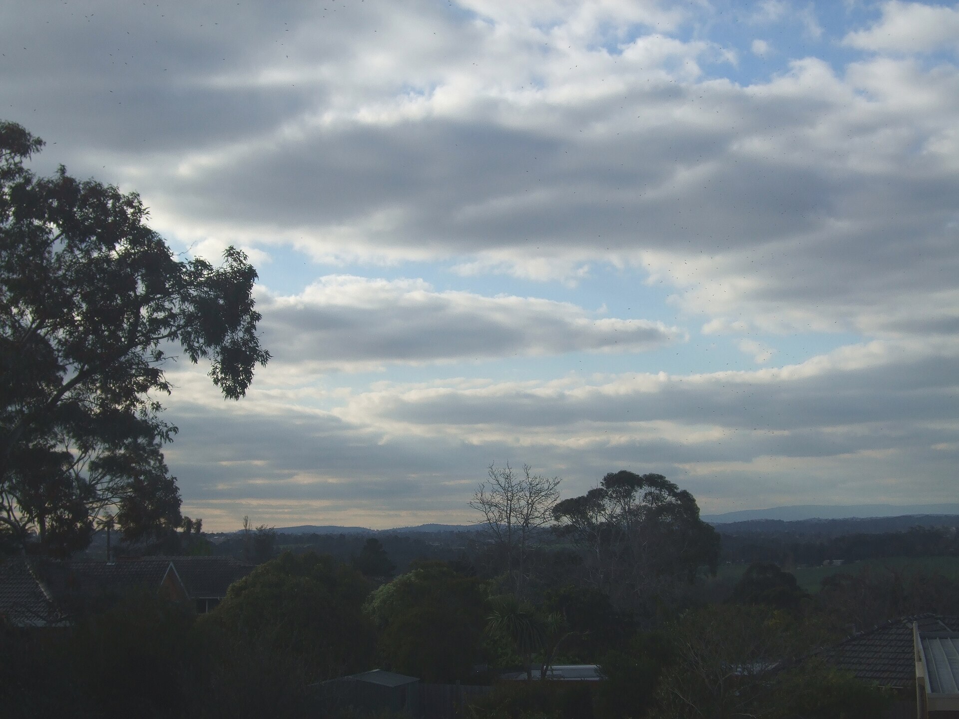 Is Templestowe Good for Rental Yield? The 2026 Numbers
