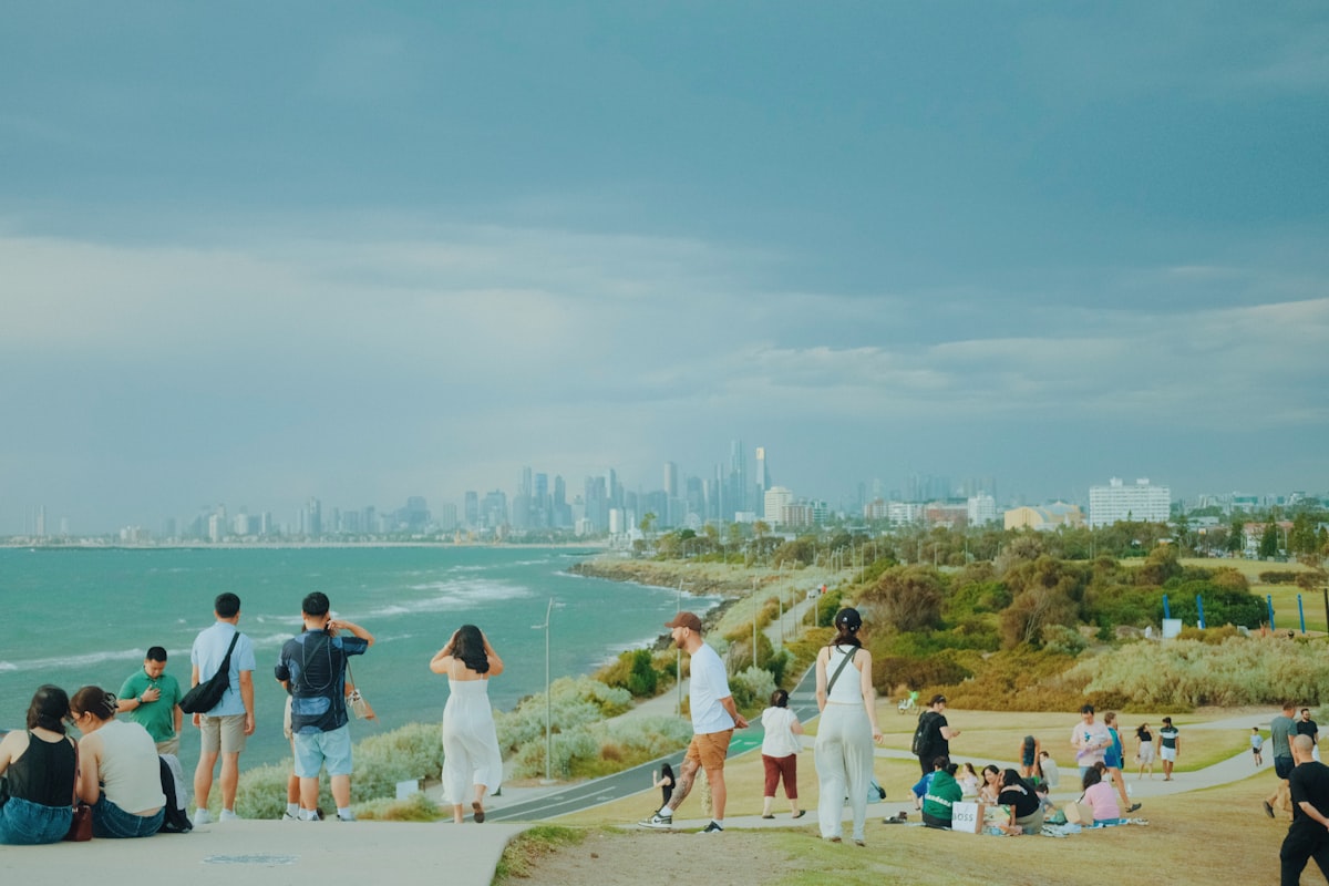 North Melbourne 2026: The Exact Google Trends Heavy Users Are Following