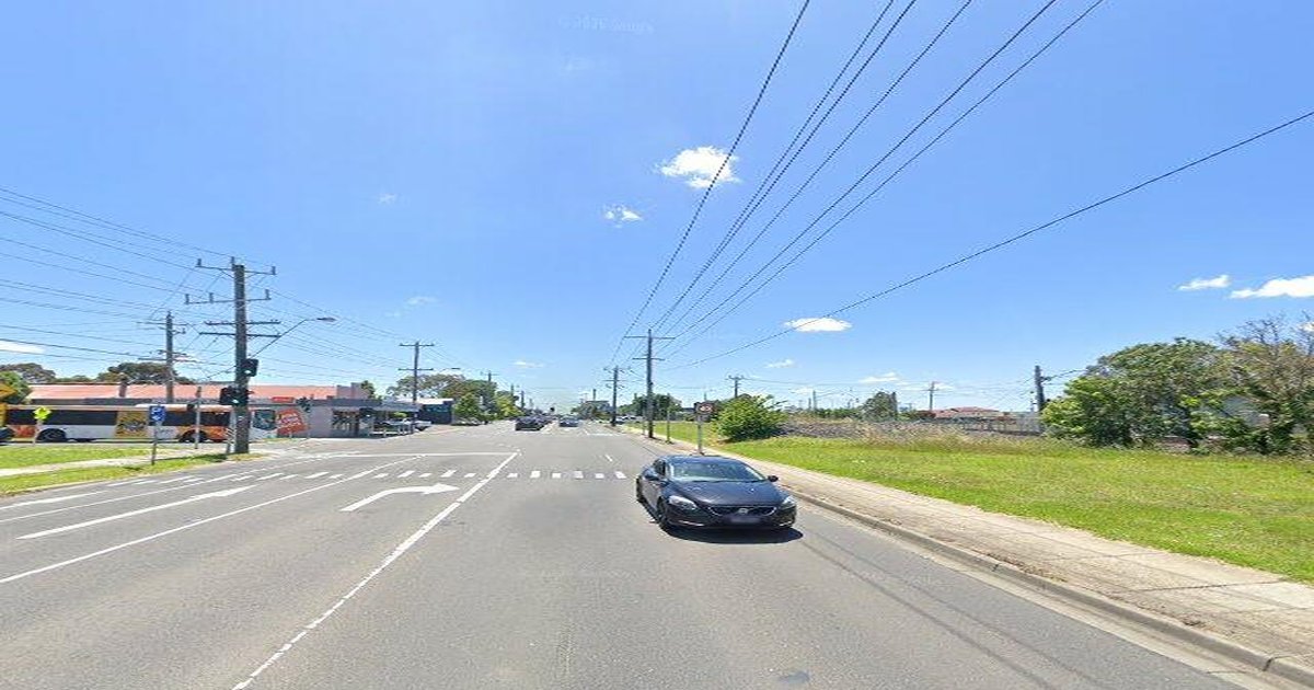 Pet-Friendly Thomastown (2026) — Dog Parks, Cafes & Vets