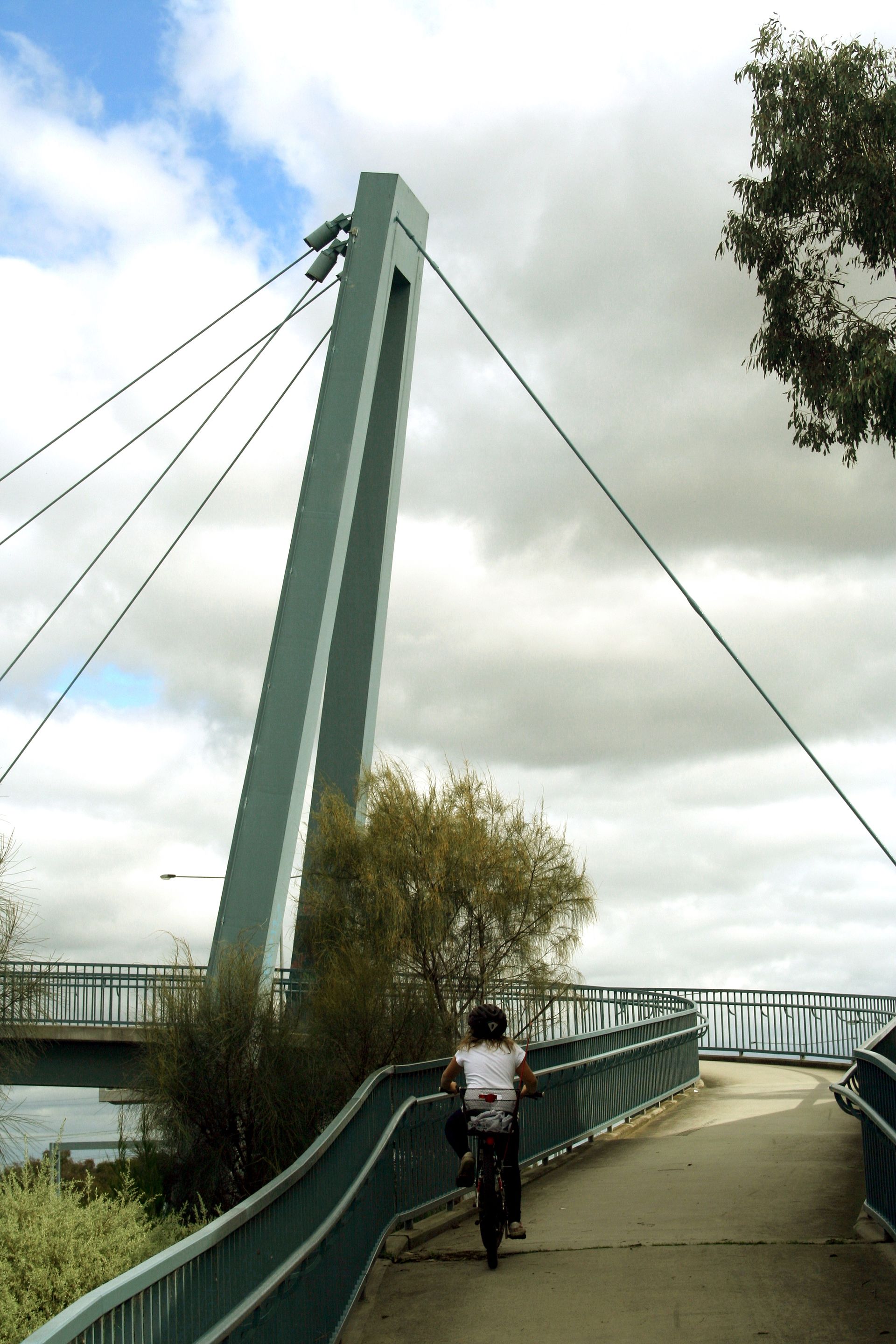 Thomastown Property Forecast 2026-2029: Where Prices Are Heading