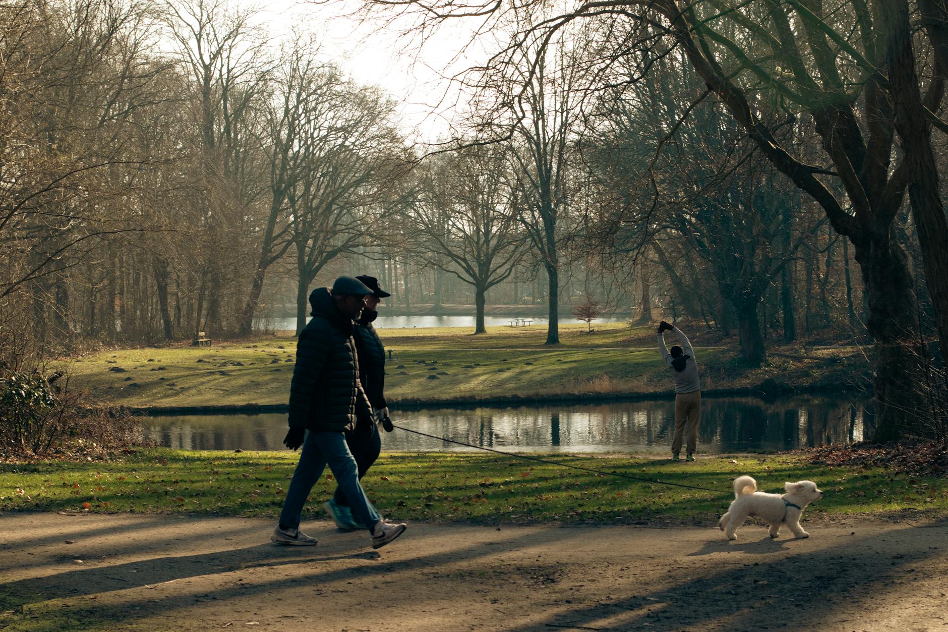Dog-Friendly Thornbury 2026 — Parks, Cafes and Creek Walks
