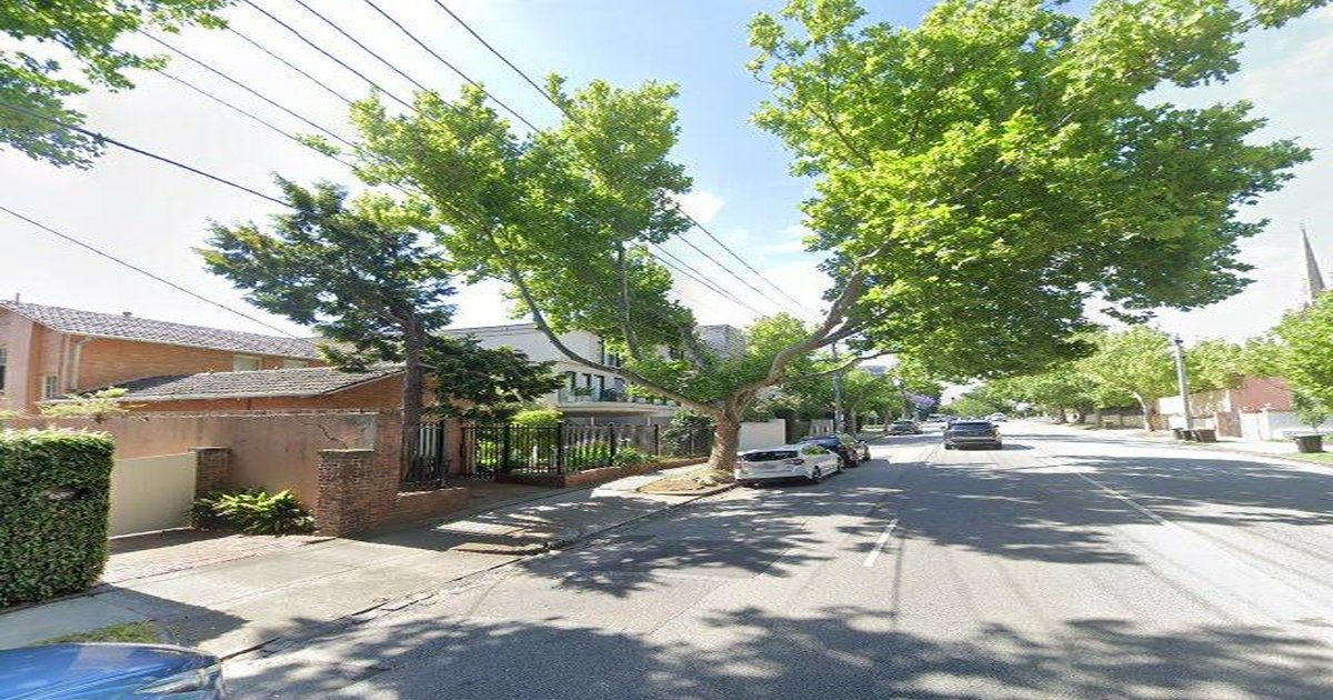 Best Dog Friendly Guide in Toorak Melbourne — 2026 Guide