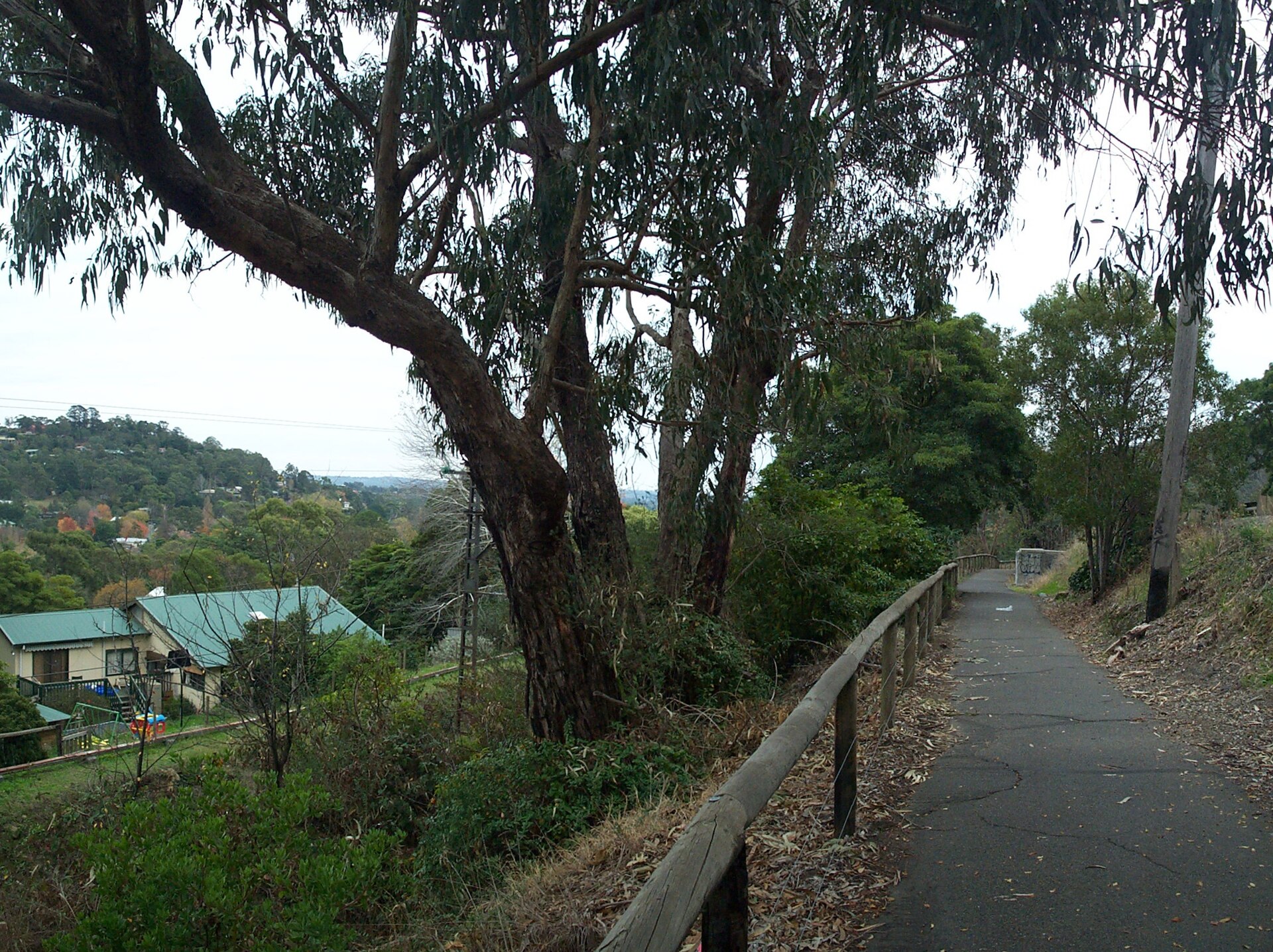 Rental Yield in Upwey 2026: Houses vs Units Compared