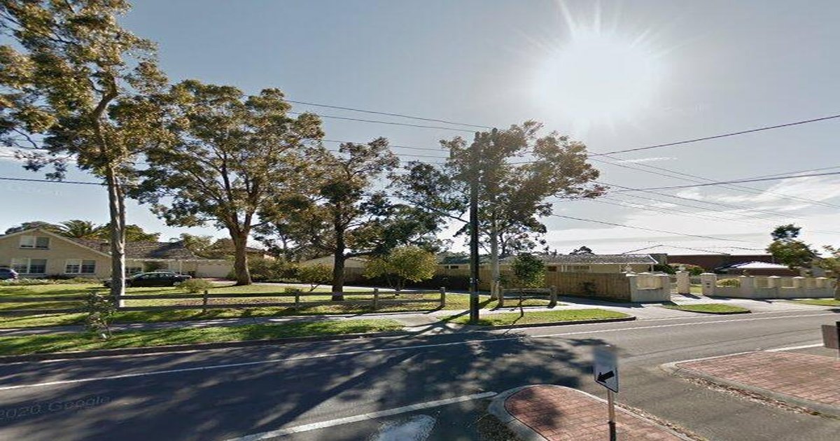 Best Dog Friendly Guide in Vermont South Melbourne — 2026 Guide