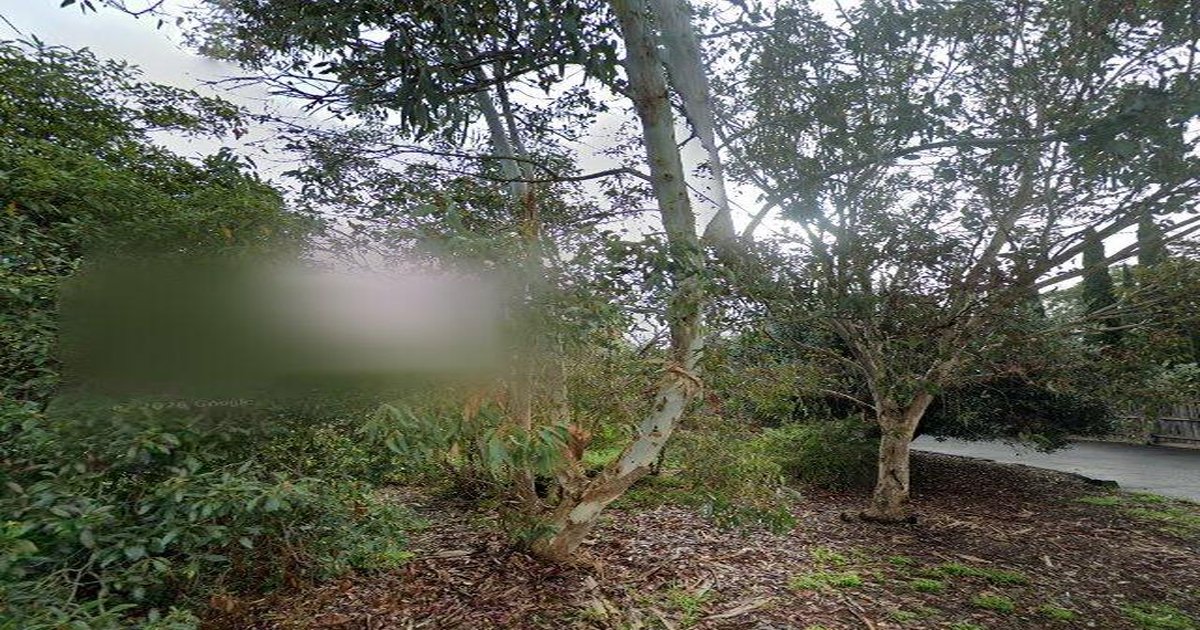 Best Cafes in Vermont (2026) — 15 Spots Ranked