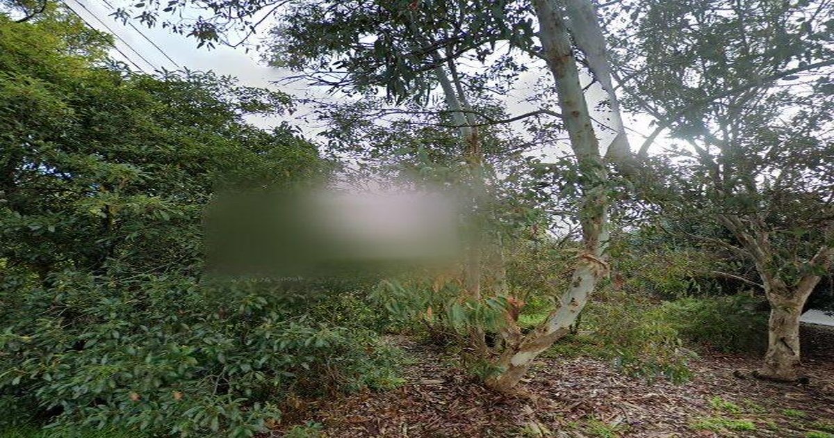 Best Restaurants in Vermont (2026) — 15 Spots Ranked