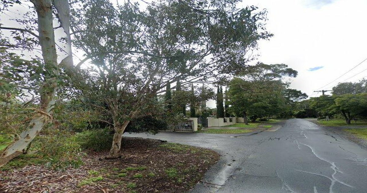 Vermont Community Guide — Groups, Events, Culture